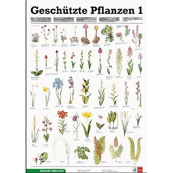 Schreiber Naturtafeln: Geschützte Pflanzen
