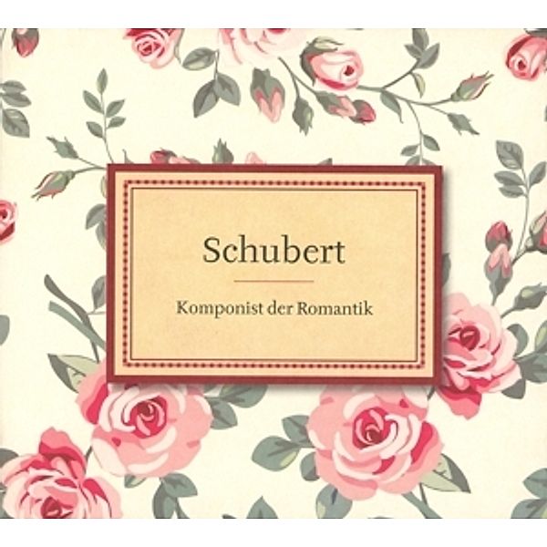 Schubert: Komponist Der Romantik, Franz Schubert