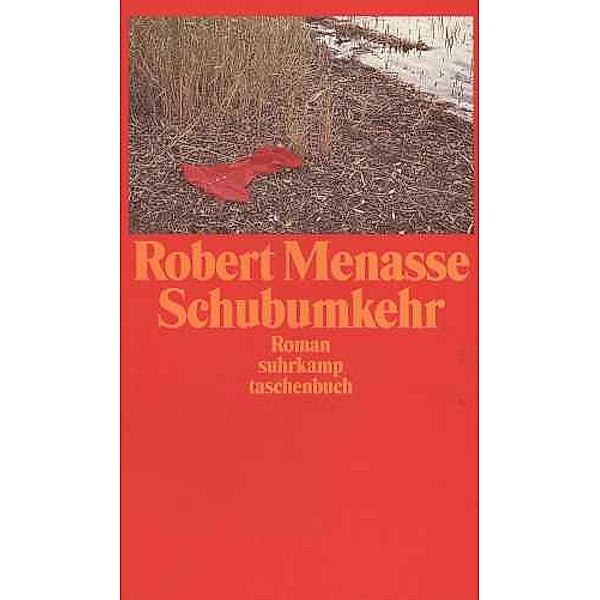 Schubumkehr, Robert Menasse