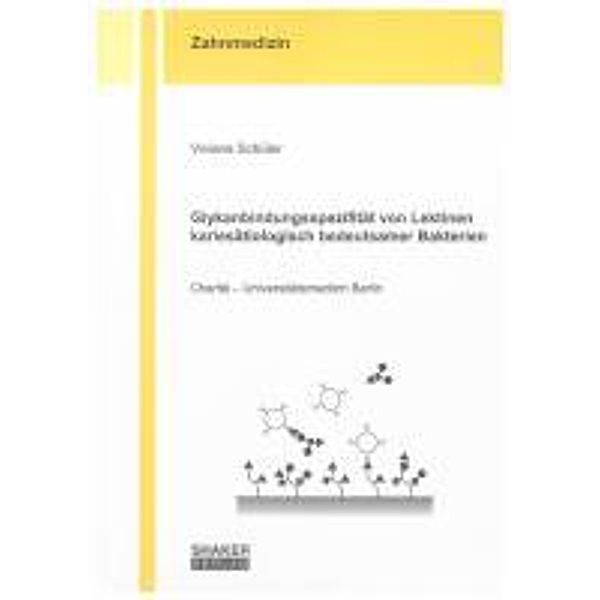 Schüler, V: Glykanbindungsspezifität von Lektinen kariesätio, Viviane Schüler