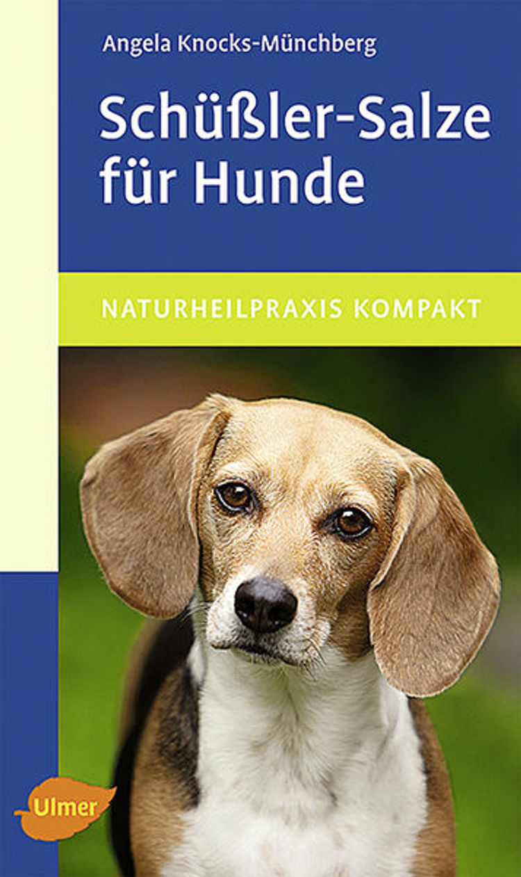 Schüßler-Salze für Hunde Buch versandkostenfrei bei Weltbild.at bestellen