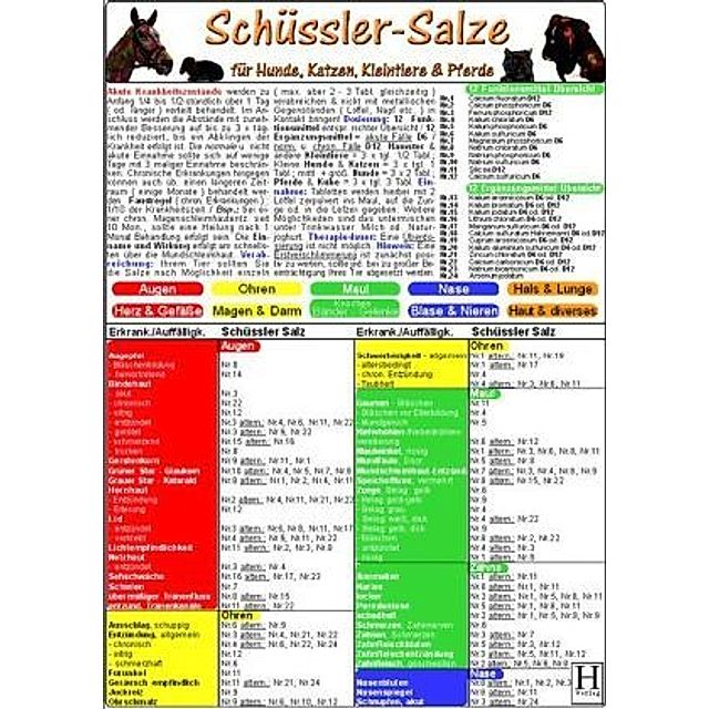 Schüssler-Salze für Hunde, Katzen, Kleintiere & Pferde, Tierheilkunde-Karte  Buch jetzt online bei Weltbild.ch bestellen