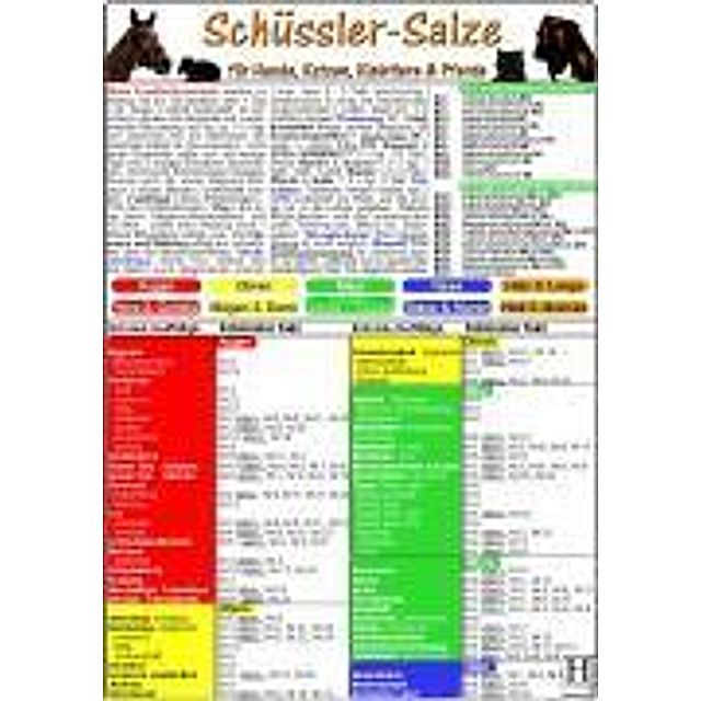 Schüssler-Salze für Hunde, Katzen, Kleintiere & Pferde, Tierheilkunde-Karte  Buch jetzt online bei Weltbild.at bestellen