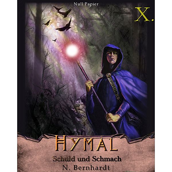 Schuld und Schmach / Der Hexer von Hymal Bd.10, N. Bernhardt
