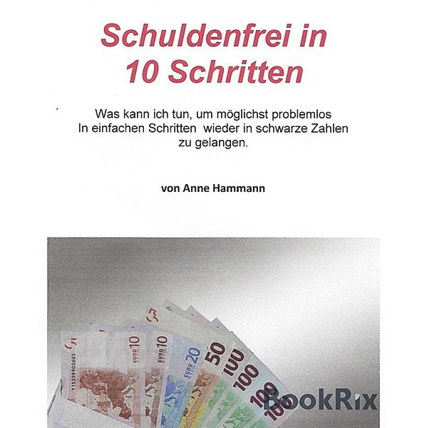 Schuldenfrei in 10 Schritten, Anne Hammann