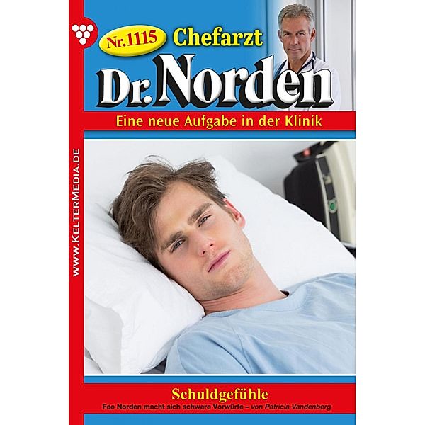 Schuldgefühle / Chefarzt Dr. Norden Bd.1115, Patricia Vandenberg