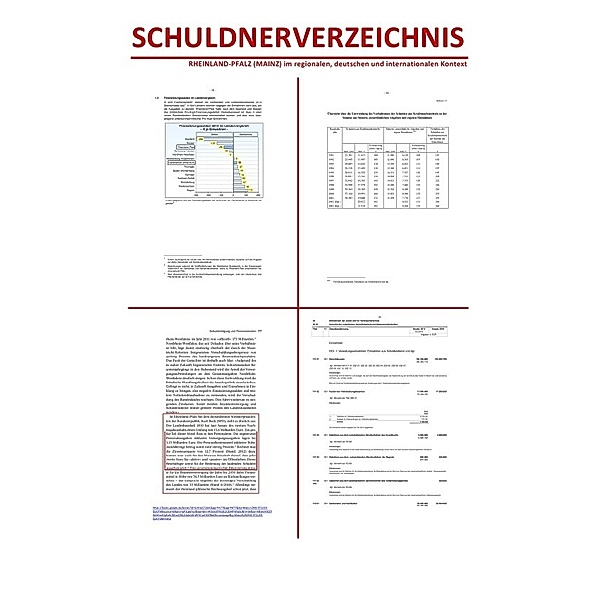 SCHULDNERVERZEICHNIS - RHEINLAND-PFALZ (MAINZ) im regionalen, deutschen und internationalen Kontext