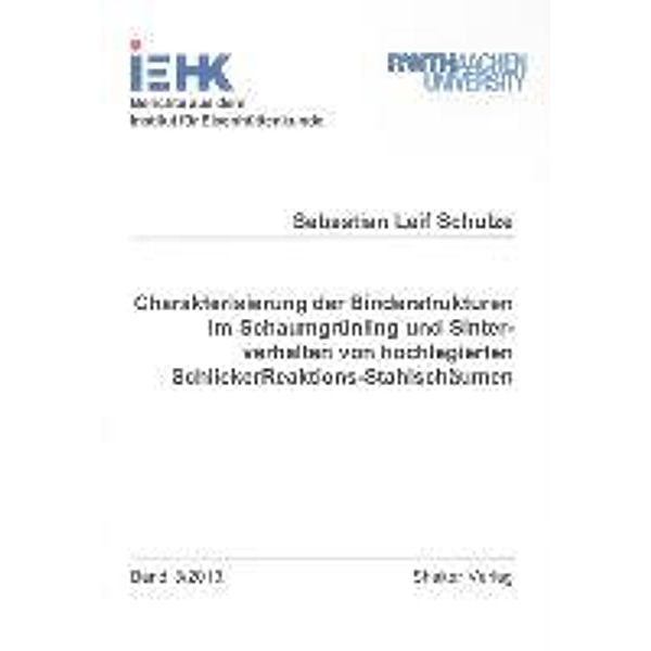 Schulze, S: Charakterisierung der Binderstrukturen im Schaum, Sebastian Leif Schulze