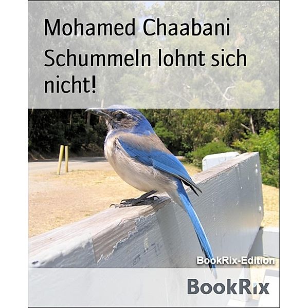 Schummeln lohnt sich nicht!, Mohamed Chaabani