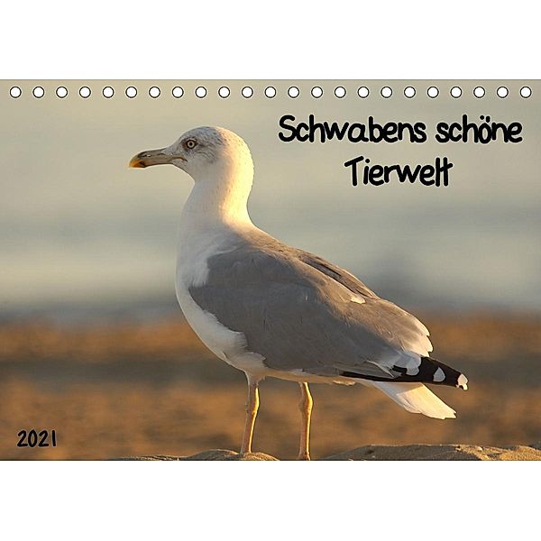 Schwabens schöne Tierwelt (Tischkalender 2021 DIN A5 quer), Kevin Andreas Lederle