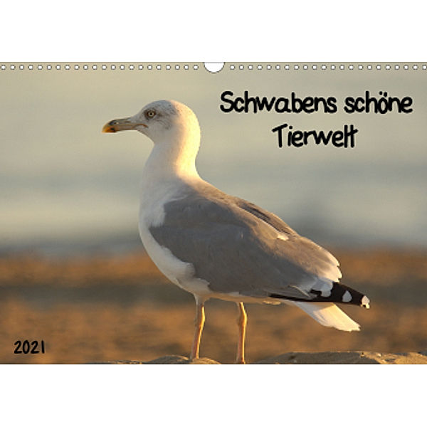 Schwabens schöne Tierwelt (Wandkalender 2021 DIN A3 quer), Kevin Andreas Lederle