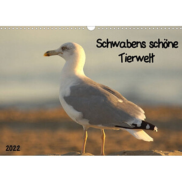 Schwabens schöne Tierwelt (Wandkalender 2022 DIN A3 quer), Kevin Andreas Lederle