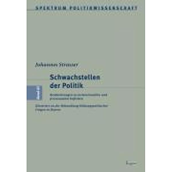 Schwachstellen der Politik, Johannes Strasser