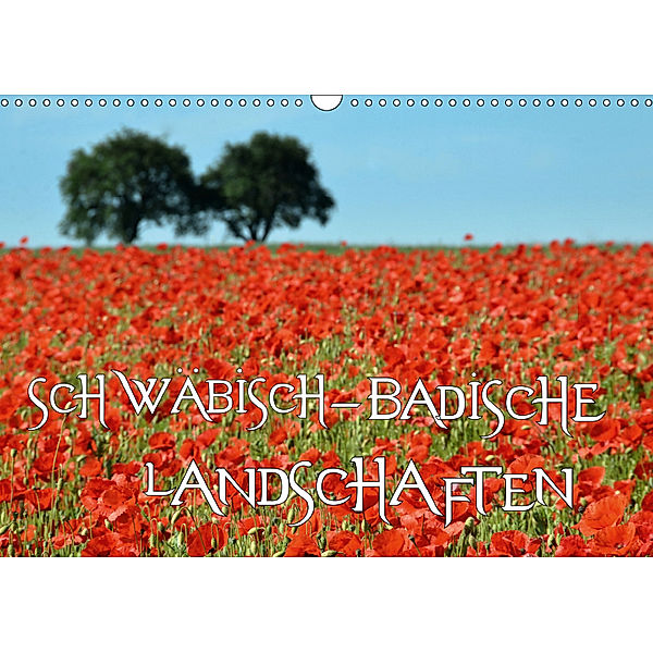 SCHWÄBISCH-BADISCHE LANDSCHAFTEN (Wandkalender 2019 DIN A3 quer), Simone Mathias