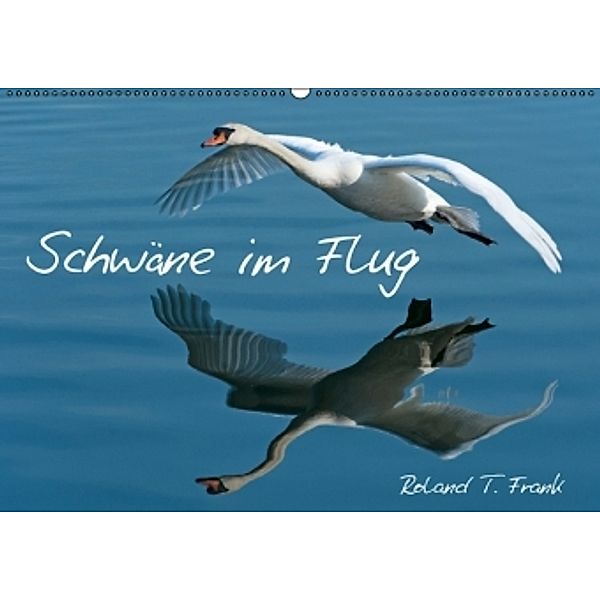 Schwäne im FlugCH-Version (Wandkalender 2016 DIN A2 quer), Roland T. Frank