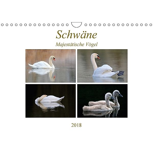 Schwäne - Majestätische Vögel (Wandkalender 2018 DIN A4 quer) Dieser erfolgreiche Kalender wurde dieses Jahr mit gleiche, J. R. Bogner