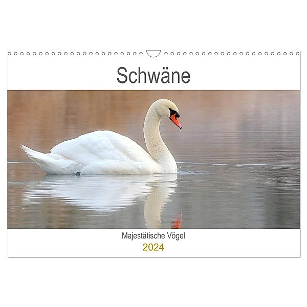 Schwäne Majestätische Vögel (Wandkalender 2024 DIN A3 quer), CALVENDO Monatskalender, J. R. Bogner