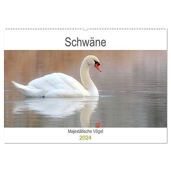 Schwäne Majestätische Vögel (Wandkalender 2024 DIN A2 quer), CALVENDO Monatskalender, J. R. Bogner