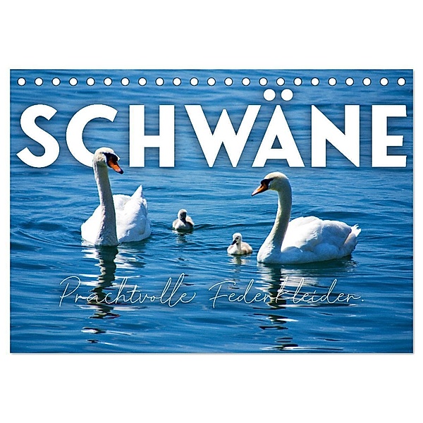 Schwäne - Prachtvolle Federkleider. (Tischkalender 2024 DIN A5 quer), CALVENDO Monatskalender, SF