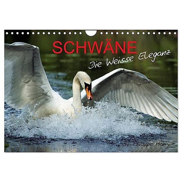 SCHWÄNE. (Wandkalender 2025 DIN A4 quer), CALVENDO Monatskalender, Calvendo, Philippe Henry