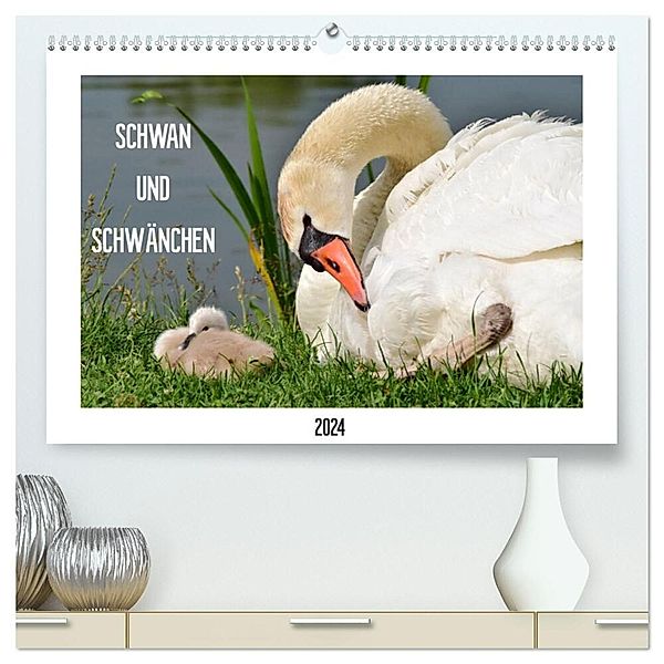 SCHWAN UND SCHWÄNCHEN (hochwertiger Premium Wandkalender 2024 DIN A2 quer), Kunstdruck in Hochglanz, Marlise Gaudig