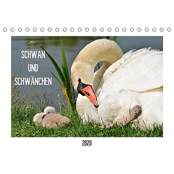 SCHWAN UND SCHWÄNCHEN (Tischkalender 2020 DIN A5 quer), Marlise Gaudig