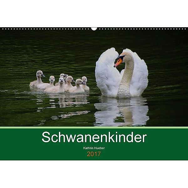 Schwanenkinder (Wandkalender 2017 DIN A2 quer), Kathrin Hueber