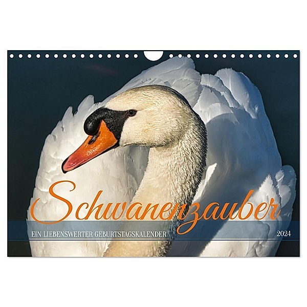 Schwanenzauber (Wandkalender 2024 DIN A4 quer), CALVENDO Monatskalender, Sabine Löwer