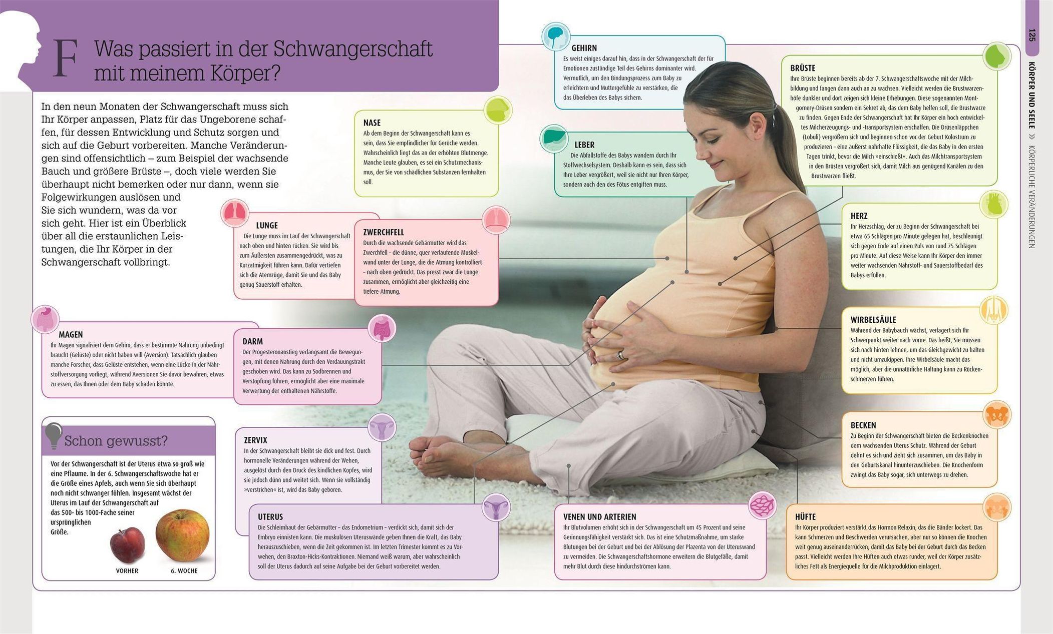 Schwangerschaft & Geburt Buch versandkostenfrei bei Weltbild.ch bestellen