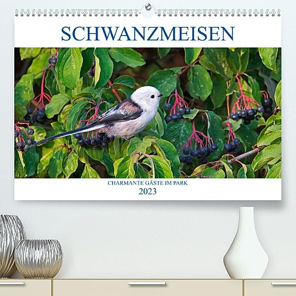 Schwanzmeisen (Premium, hochwertiger DIN A2 Wandkalender 2023, Kunstdruck in Hochglanz), Anette Jäger
