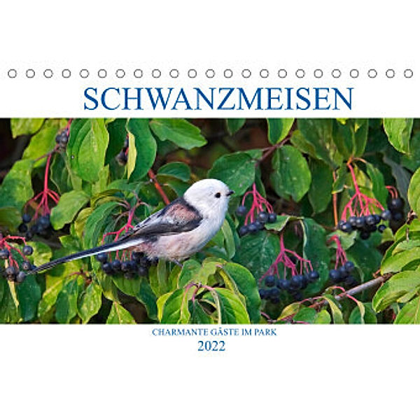Schwanzmeisen (Tischkalender 2022 DIN A5 quer), Anette Jäger