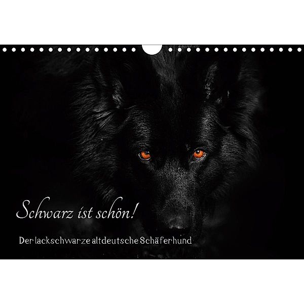 Schwarz ist schön! Der lackschwarze altdeutsche Schäferhund (Wandkalender 2020 DIN A4 quer), Rena Werz