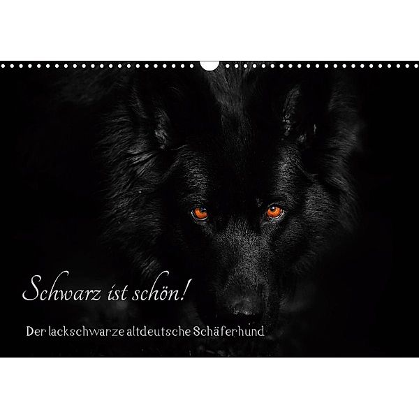 Schwarz ist schön! Der lackschwarze altdeutsche Schäferhund (Wandkalender 2021 DIN A3 quer), Rena Werz