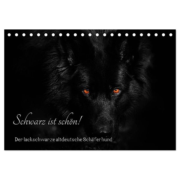 Schwarz ist schön! Der lackschwarze altdeutsche Schäferhund (Tischkalender 2024 DIN A5 quer), CALVENDO Monatskalender, Rena Werz