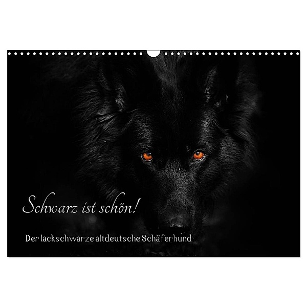 Schwarz ist schön! Der lackschwarze altdeutsche Schäferhund (Wandkalender 2024 DIN A3 quer), CALVENDO Monatskalender, Rena Werz