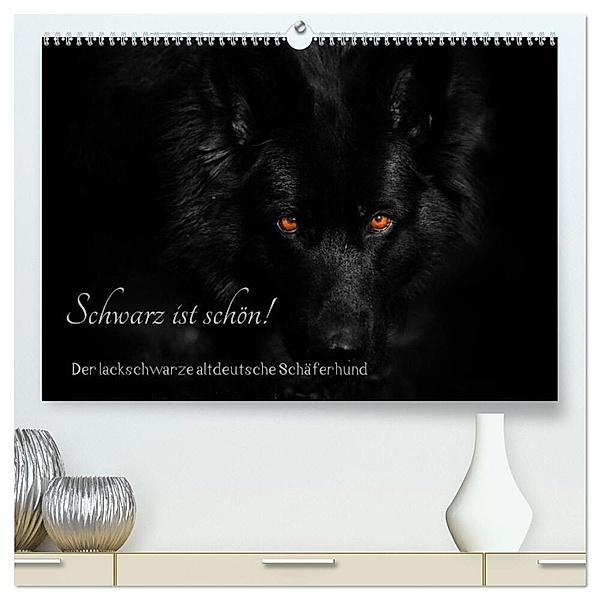 Schwarz ist schön! Der lackschwarze altdeutsche Schäferhund (hochwertiger Premium Wandkalender 2024 DIN A2 quer), Kunstdruck in Hochglanz, Rena Werz