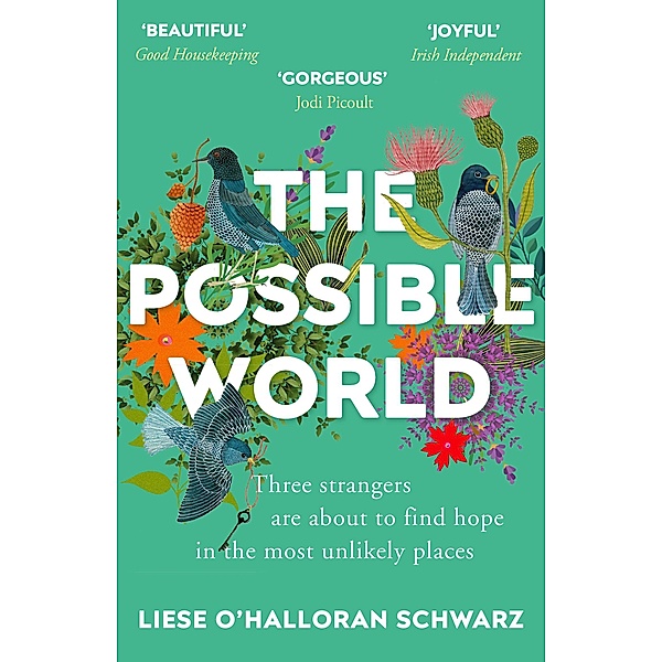 Schwarz, L: Possible World, Liese O'Halloran Schwarz