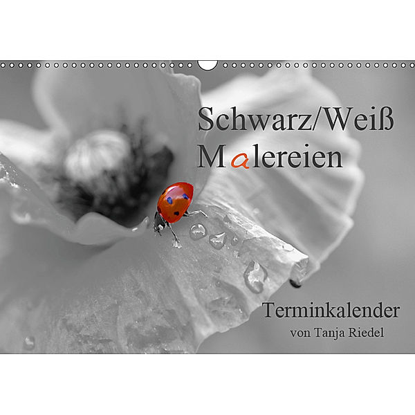 Schwarz-Weiss Malereien Terminkalender von Tanja Riedel (Wandkalender 2019 DIN A3 quer), Tanja Riedel