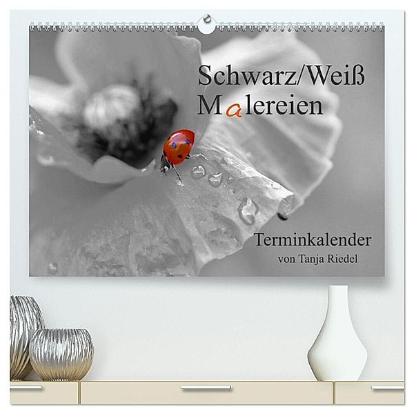 Schwarz-Weiss Malereien Terminkalender von Tanja Riedel für die Schweiz (hochwertiger Premium Wandkalender 2024 DIN A2 quer), Kunstdruck in Hochglanz, Tanja Riedel