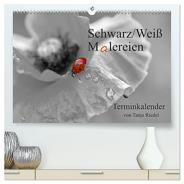Schwarz-Weiß Malereien Terminkalender von Tanja Riedel für die Schweiz (hochwertiger Premium Wandkalender 2025 DIN A2 quer), Kunstdruck in Hochglanz, Calvendo, Tanja Riedel