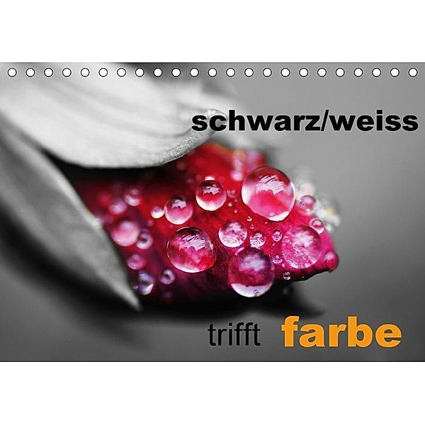 schwarz/weiß trifft farbe (Tischkalender 2017 DIN A5 quer), Cathrin Kaden