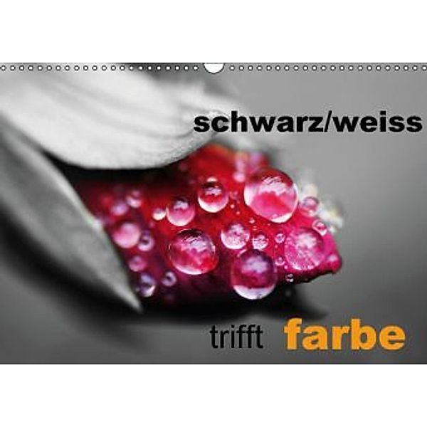 schwarz/weiß trifft farbe (Wandkalender 2016 DIN A3 quer), Cathrin Kaden