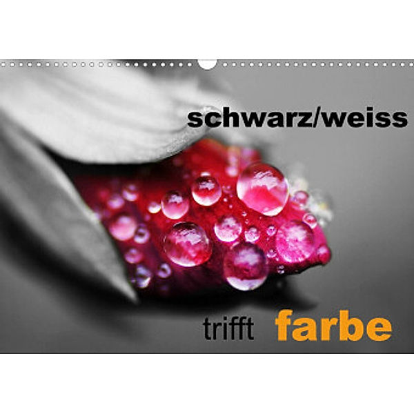 schwarz/weiß trifft farbe (Wandkalender 2022 DIN A3 quer), Cathrin Kaden