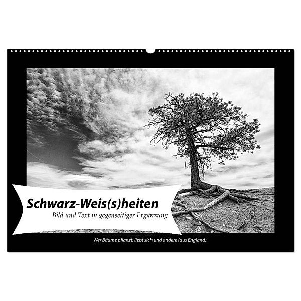 Schwarz-Weis(s)heiten (Wandkalender 2024 DIN A2 quer), CALVENDO Monatskalender, Andreas Klesse