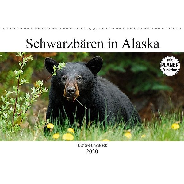 Schwarzbären in Alaska (Wandkalender 2020 DIN A2 quer), Dieter-M. Wilczek