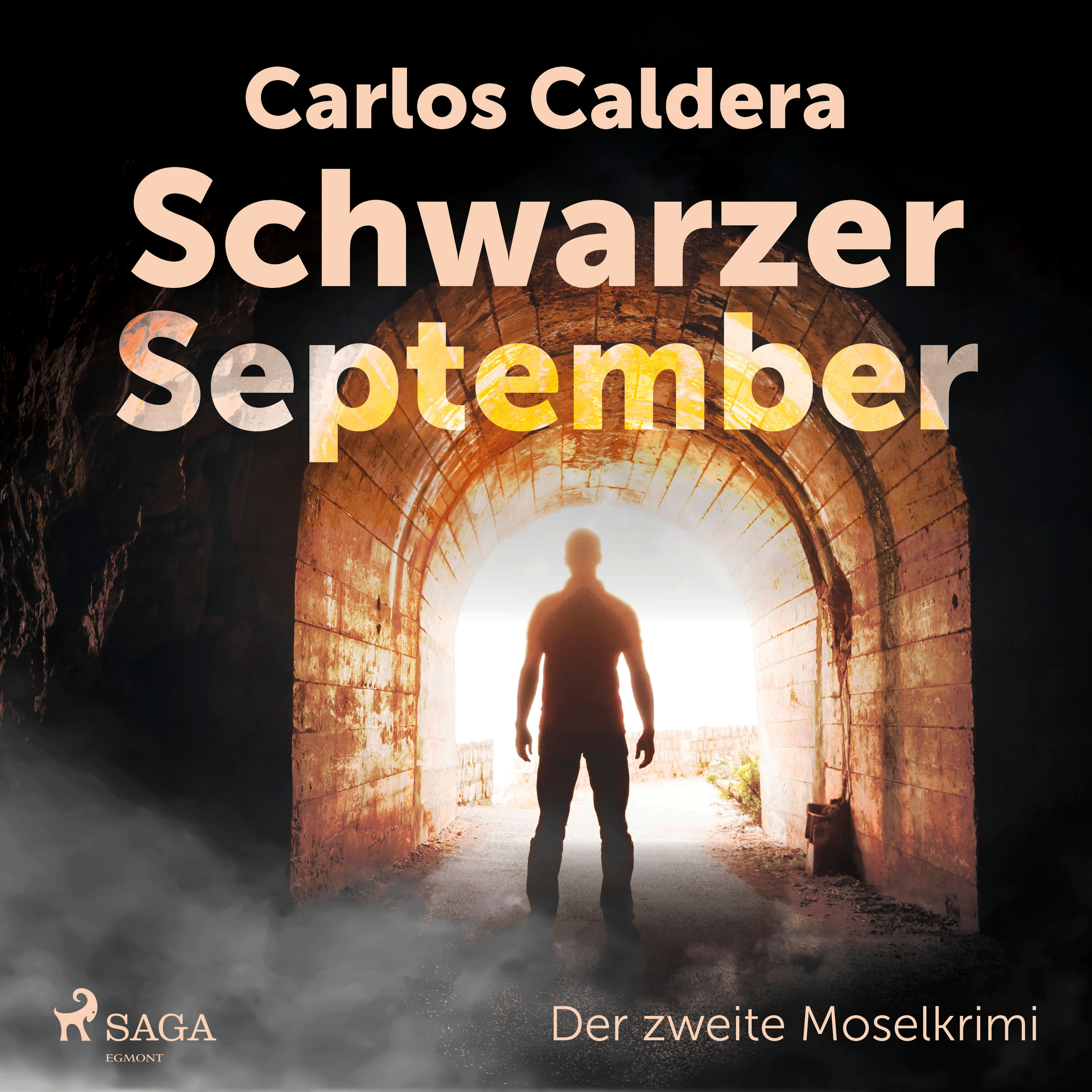 Schwarzer September - der zweite Moselkrimi Hörbuch Download