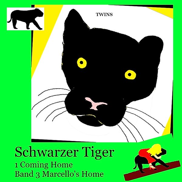 Schwarzer Tiger - Schwarzer Tiger 1 Coming Home, Twins