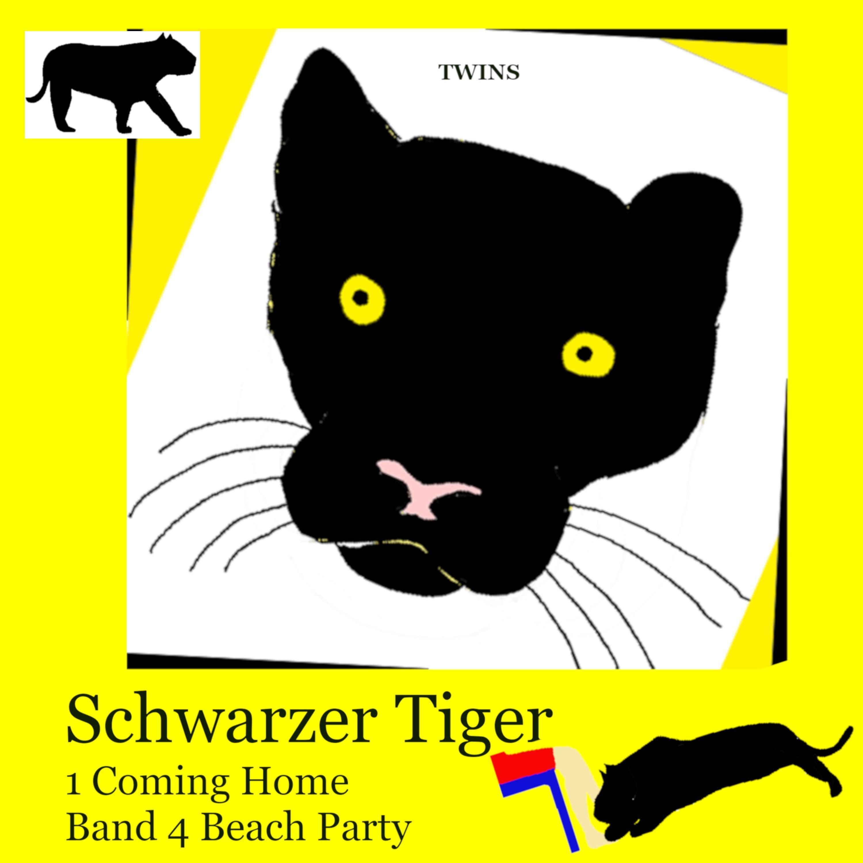 Schwarzer Tiger - Schwarzer Tiger 1 Coming Home