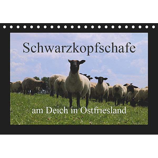 Schwarzkopfschafe am Deich in Ostfriesland (Tischkalender 2019 DIN A5 quer), Rolf Pötsch