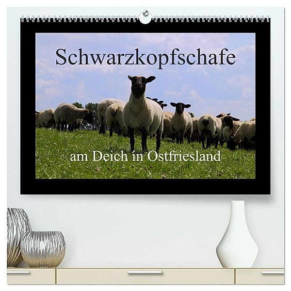 Schwarzkopfschafe am Deich in Ostfriesland (hochwertiger Premium Wandkalender 2024 DIN A2 quer), Kunstdruck in Hochglanz, rolf pötsch